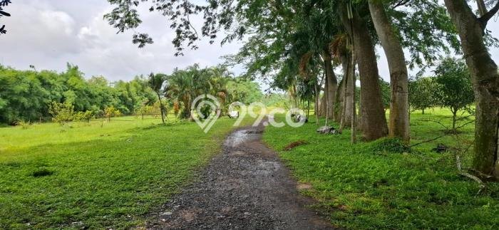 Untuk Dijual Tanah di Cikande Serang Luas 4e+06m2 SHM Untuk Dijual Tanah di Cikande Serang Luas 4e+06m2 SHM