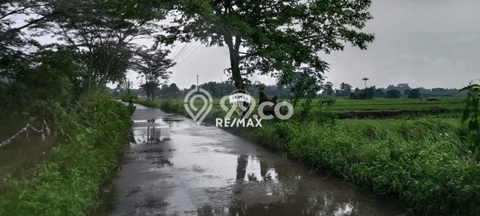 Kavling Tanah Dijual di Jawilan Serang Spesifikasi 13627m2 Kavling Tanah Dijual di Jawilan Serang Spesifikasi 13627m2