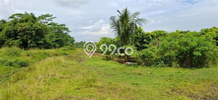 Untuk Dijual Tanah di Cikande Serang Luas 4e+06m2 SHM Untuk Dijual Tanah di Cikande Serang Luas 4e+06m2 SHM