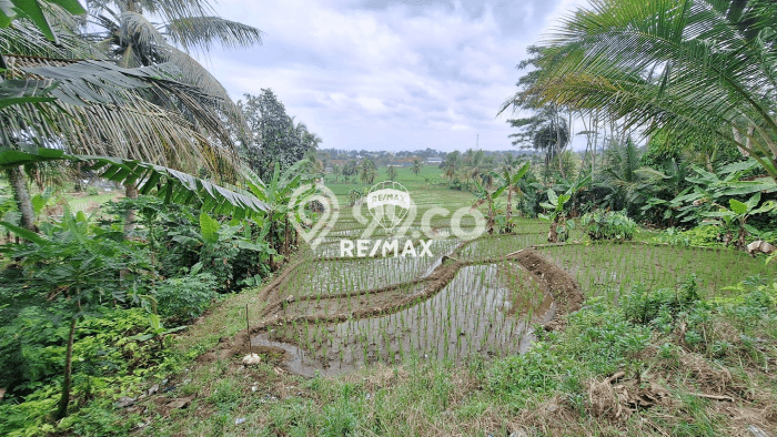 Tanah Komersial Dijual di Ciambar Sukabumi 30000m2 Tanah Komersial Dijual di Ciambar Sukabumi 30000m2
