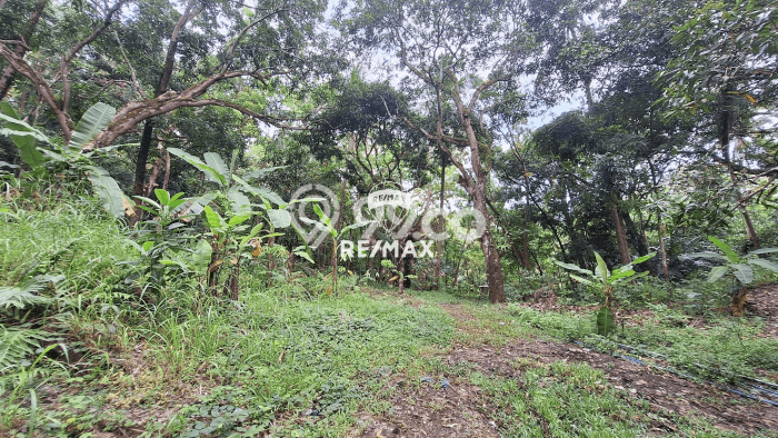 Lahan Kosong Dijual di Sukabumi dengan Area 10000m2 Lahan Kosong Dijual di Sukabumi dengan Area 10000m2