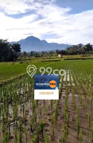 Tanah Kavling untuk Dijual di Bogor Barat Bogor 8900m2 Tanah Kavling untuk Dijual di Bogor Barat Bogor 8900m2