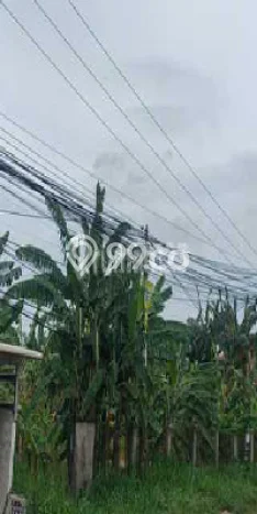 Tanah Siap Bangun Dijual di Bogor Punya Luas 6000m2 Tanah Siap Bangun Dijual di Bogor Punya Luas 6000m2