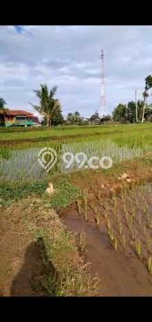 Tanah Kavling untuk Dijual di Bogor Barat Bogor 8900m2 Tanah Kavling untuk Dijual di Bogor Barat Bogor 8900m2