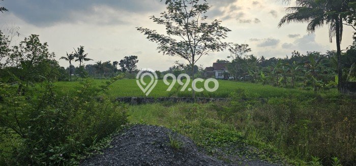 Tanah Kosong Dijual di Sleman dengan Area 244m2 Tanah Kosong Dijual di Sleman dengan Area 244m2