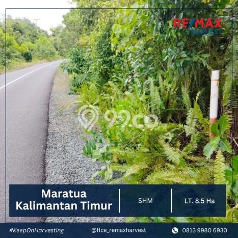 Tanah Dijual Lokasi Maratua, Berau Luas 85000m2 Legalitas Aman Tanah Dijual Lokasi Maratua, Berau Luas 85000m2 Legalitas Aman