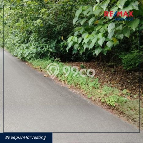 Tanah Dijual Lokasi Maratua, Berau Luas 85000m2 Legalitas Aman Tanah Dijual Lokasi Maratua, Berau Luas 85000m2 Legalitas Aman