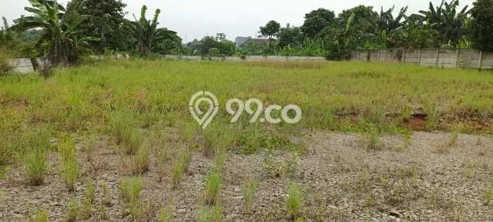 Kavling Tanah Disewakan di Cisauk Tangerang Luas 5165m2 Strategis Kavling Tanah Disewakan di Cisauk Tangerang Luas 5165m2 Strategis