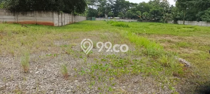 Kavling Tanah Disewakan di Cisauk Tangerang Luas 5165m2 Strategis Kavling Tanah Disewakan di Cisauk Tangerang Luas 5165m2 Strategis
