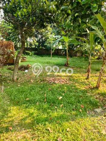 Jarang Ada! Tanah di Cisauk Punya Luas 9450m2 SHM Jarang Ada! Tanah di Cisauk Punya Luas 9450m2 SHM