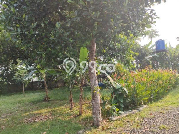 Kavling Tanah di Cisauk Dijual Luas 9450m2 Legalitas SHM Kavling Tanah di Cisauk Dijual Luas 9450m2 Legalitas SHM