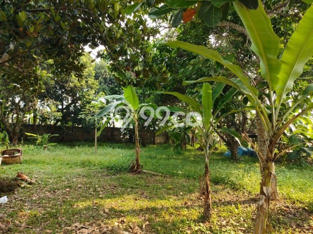 Kavling Tanah di Cisauk Dijual Luas 9450m2 Legalitas SHM Kavling Tanah di Cisauk Dijual Luas 9450m2 Legalitas SHM