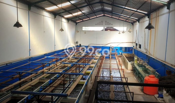 Gudang Bagus Dijual di Kapuk Kamal Jakarta Barat Strategis Cocok untuk Kembangkan Bisnis Gudang Bagus Dijual di Kapuk Kamal Jakarta Barat Strategis Cocok untuk Kembangkan Bisnis