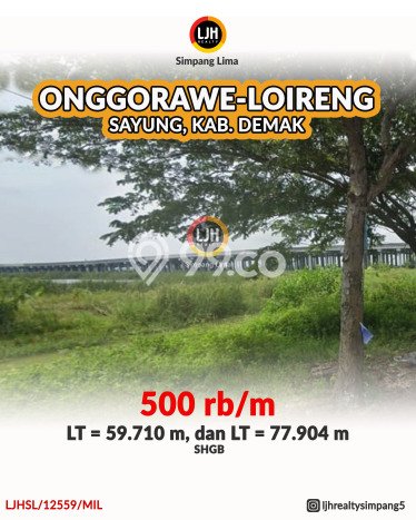Tanah Dijual Lokasi Sayung, Demak Luas 59710m2 Legalitas Aman Tanah Dijual Lokasi Sayung, Demak Luas 59710m2 Legalitas Aman