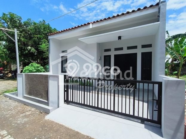 Jual Rumah Murah di Tembalang Semarang Harga Rp 375 Juta LT 72m2 Jual Rumah Murah di Tembalang Semarang Harga Rp 375 Juta LT 72m2