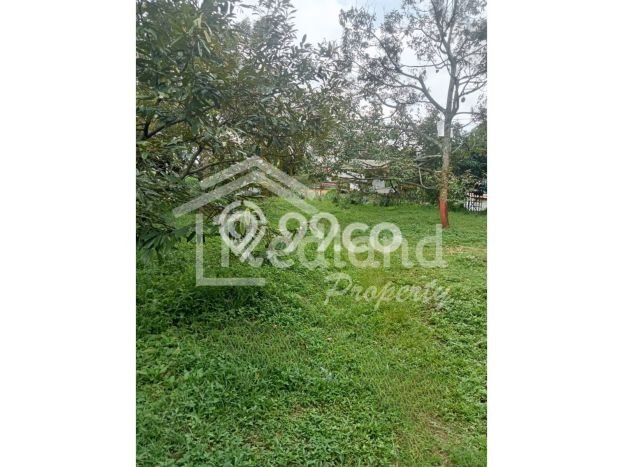 Kavling Tanah untuk Dijual di Kendal, Kendal, Luas 11000m2 Kavling Tanah untuk Dijual di Kendal, Kendal, Luas 11000m2