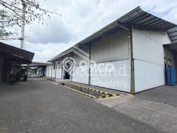 Paling Dicari! Pabrik Dijual di Salatiga Harga Kompetitif Paling Dicari! Pabrik Dijual di Salatiga Harga Kompetitif