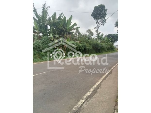 Kavling Tanah untuk Dijual di Kendal, Kendal, Luas 11000m2 Kavling Tanah untuk Dijual di Kendal, Kendal, Luas 11000m2