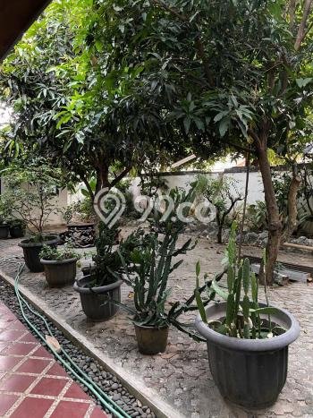 Dijual Rumah Luas Megah Dengan View Cantik di Jurangmangu, Tangerang Dijual Rumah Luas Megah Dengan View Cantik di Jurangmangu, Tangerang
