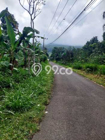 Kavling Tanah di Prigen Dijual Luas 9035m2 Legalitas SHM Kavling Tanah di Prigen Dijual Luas 9035m2 Legalitas SHM