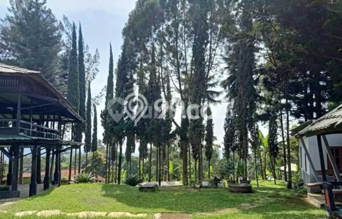 Paling Diincar! Komersial Dijual di Ciumbuleuit Harga Kompetitif Paling Diincar! Komersial Dijual di Ciumbuleuit Harga Kompetitif