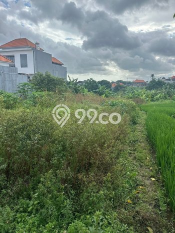 Tanah Disewakan Lokasi Badung Seluas 2500m2 Strategis dan Aman Tanah Disewakan Lokasi Badung Seluas 2500m2 Strategis dan Aman