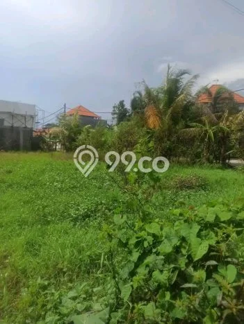 Tanah Kavling Disewakan di Cemagi dengan Luas 1000m2 Tanah Kavling Disewakan di Cemagi dengan Luas 1000m2