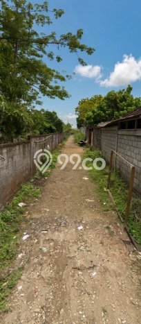 Tanah Disewakan Lokasi Ungasan Badung Luas 500m2 Tanah Disewakan Lokasi Ungasan Badung Luas 500m2
