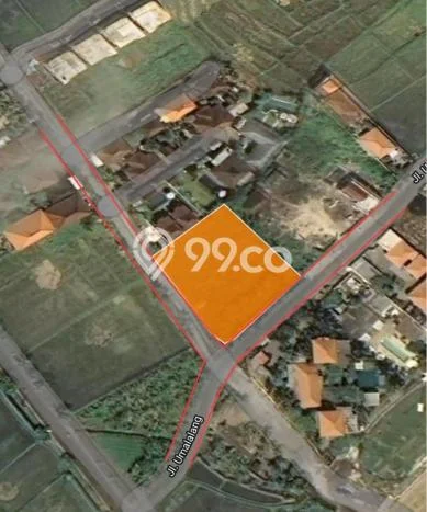 Tanah Kavling Disewakan di Cemagi dengan Luas 1000m2 Tanah Kavling Disewakan di Cemagi dengan Luas 1000m2