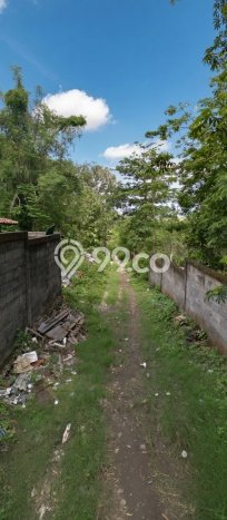 Tanah Disewakan Lokasi Ungasan Badung Luas 500m2 Tanah Disewakan Lokasi Ungasan Badung Luas 500m2