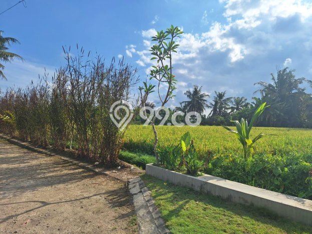 Tersedia Vila untuk Disewa di Ubud, Luas 117m2m², Dekat ke Fasilitas Umum Tersedia Vila untuk Disewa di Ubud, Luas 117m2m², Dekat ke Fasilitas Umum