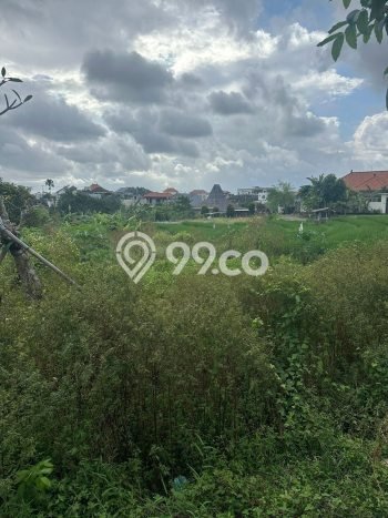 Tanah Disewakan Lokasi Badung Seluas 2500m2 Strategis dan Aman Tanah Disewakan Lokasi Badung Seluas 2500m2 Strategis dan Aman