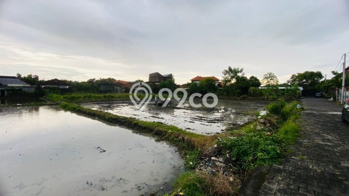 Disewakan Segera Tanah di Denpasar Selatan Luas 30000m2 Area Potensial Disewakan Segera Tanah di Denpasar Selatan Luas 30000m2 Area Potensial