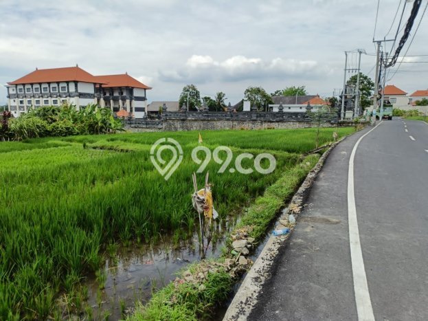 Disewakan Tanah di Cemagi Badung Seluas 500m2 Disewakan Tanah di Cemagi Badung Seluas 500m2