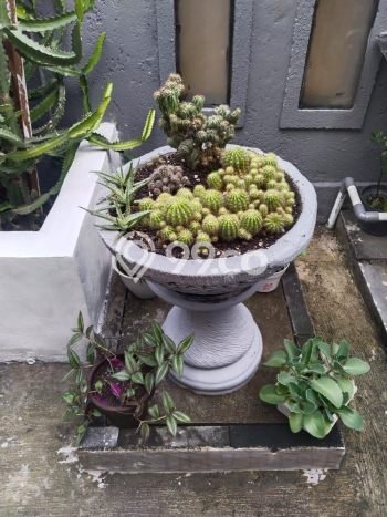 Disewakan! Rumah 2 Kamar Tidur &
3 Kamar Mandi di Kerobokan, Badung Disewakan! Rumah 2 Kamar Tidur &
3 Kamar Mandi di Kerobokan, Badung