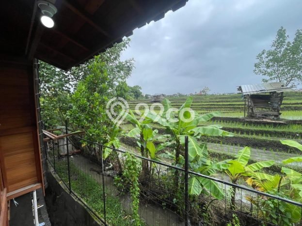 For Rent Vila Premium di , Area 900m2m², Dekat Mudah Badung, Badung For Rent Vila Premium di , Area 900m2m², Dekat Mudah Badung, Badung