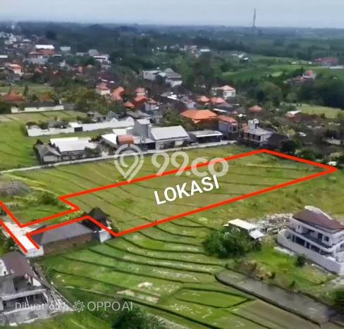 Lahan untuk Disewakan di Kediri Tabanan SHM Lahan untuk Disewakan di Kediri Tabanan SHM