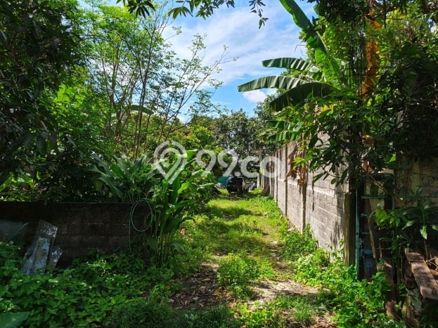 Disewakan Tanah di Denpasar, Luas 1000m2 Area Berkembang Disewakan Tanah di Denpasar, Luas 1000m2 Area Berkembang