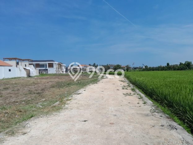 Tanah Disewakan Lokasi Badung Seluas 1200m2 Strategis dan Aman Tanah Disewakan Lokasi Badung Seluas 1200m2 Strategis dan Aman
