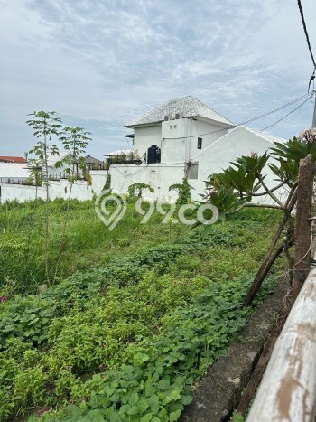 Tanah Disewa di canggu Strategis dan Memiliki Luas 1775m2 Tanah Disewa di canggu Strategis dan Memiliki Luas 1775m2