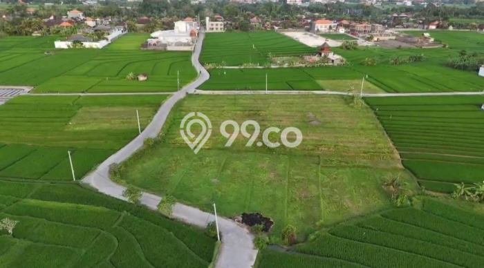 Tanah Komersial Disewakan di Kediri Tabanan Seluas 400m2 Tanah Komersial Disewakan di Kediri Tabanan Seluas 400m2