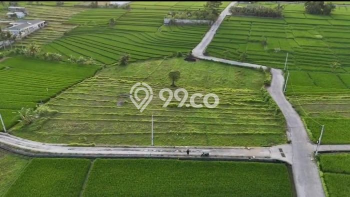 Tanah Komersial Disewakan di Kediri Tabanan Seluas 400m2 Tanah Komersial Disewakan di Kediri Tabanan Seluas 400m2