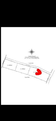 Tanah Disewakan Lokasi Badung Seluas 1200m2 Strategis dan Aman Tanah Disewakan Lokasi Badung Seluas 1200m2 Strategis dan Aman