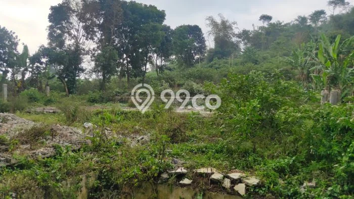 Tanah Komersial Dijual di Kutawaringin Bandung 2980m2 Tanah Komersial Dijual di Kutawaringin Bandung 2980m2
