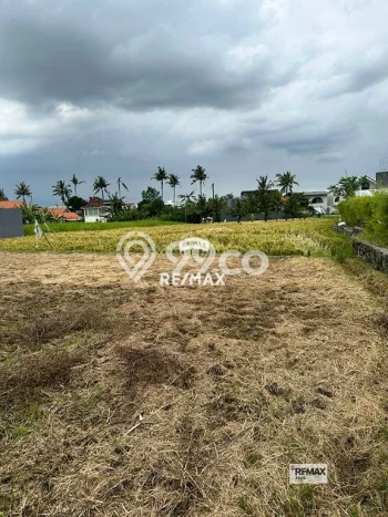 Tanah Kavling Dijual di Badung dengan Spesifikasi 500m2 Tanah Kavling Dijual di Badung dengan Spesifikasi 500m2