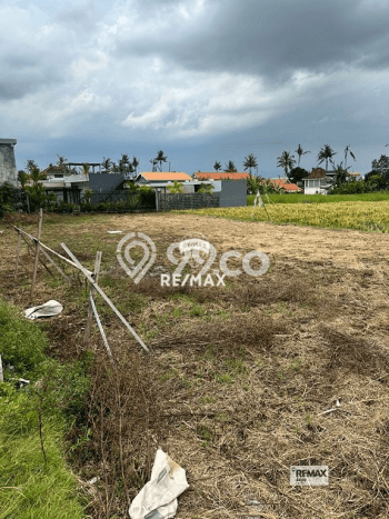 Tanah Kavling Dijual di Badung dengan Spesifikasi 500m2 Tanah Kavling Dijual di Badung dengan Spesifikasi 500m2