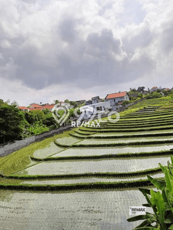 Cocok Untuk Investasi! Dijual Kost di Canggu 14 Kamar Cocok Untuk Investasi! Dijual Kost di Canggu 14 Kamar