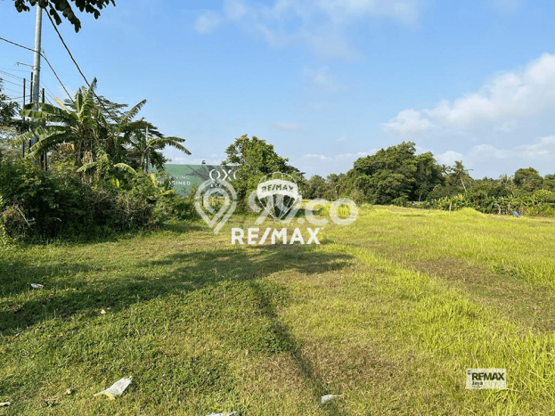 Kavling Tanah Dijual di Tabanan Tabanan Spesifikasi 550m2 Kavling Tanah Dijual di Tabanan Tabanan Spesifikasi 550m2