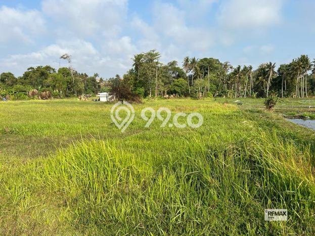 Dijual Tanah Lokasi Nyanyi, Badung Seluas 550m2 Dijual Tanah Lokasi Nyanyi, Badung Seluas 550m2