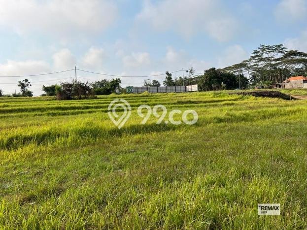 Dijual Tanah Lokasi Nyanyi, Badung Seluas 550m2 Dijual Tanah Lokasi Nyanyi, Badung Seluas 550m2